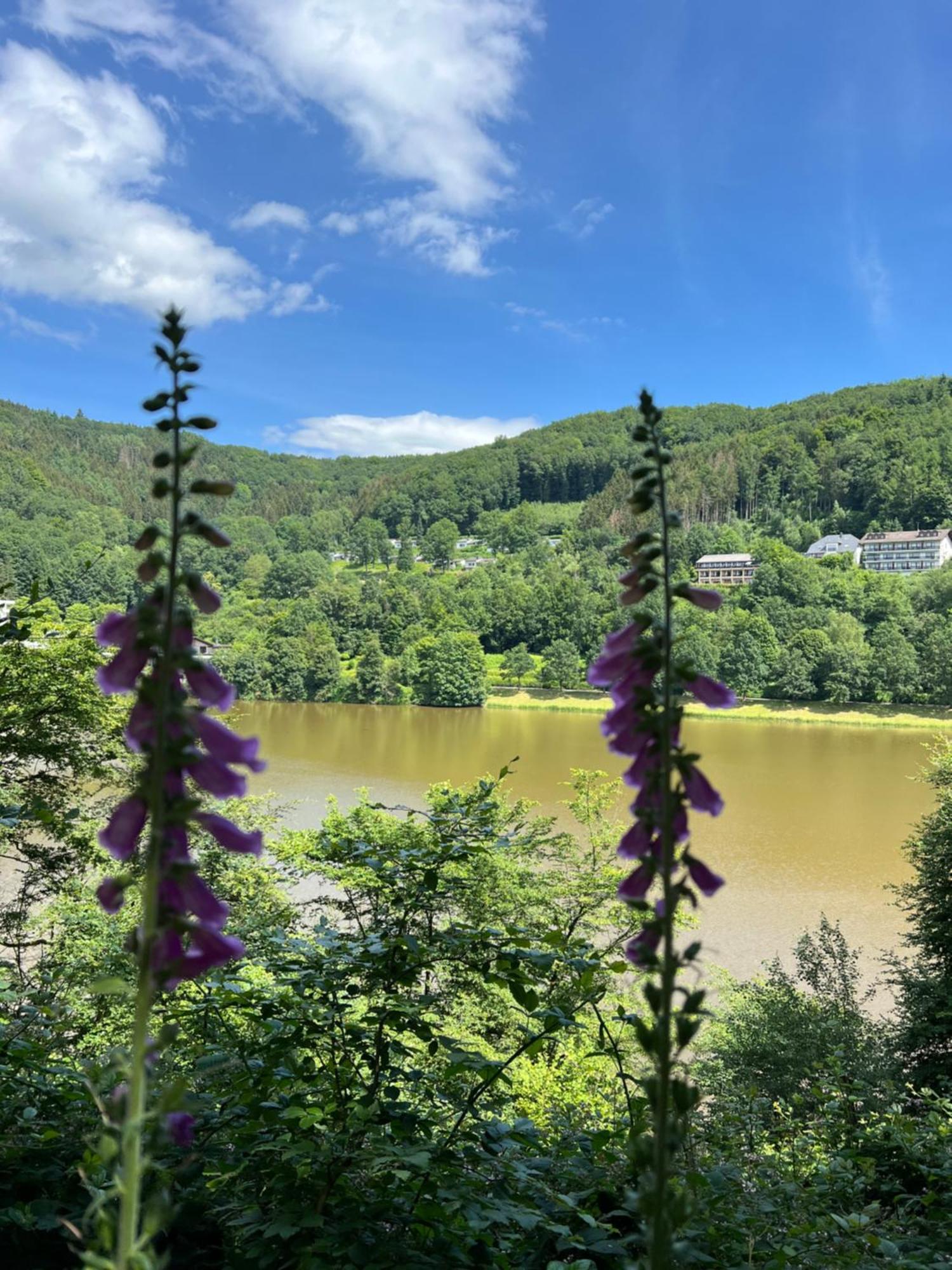 Seeblick Holiday home Biersdorf am See