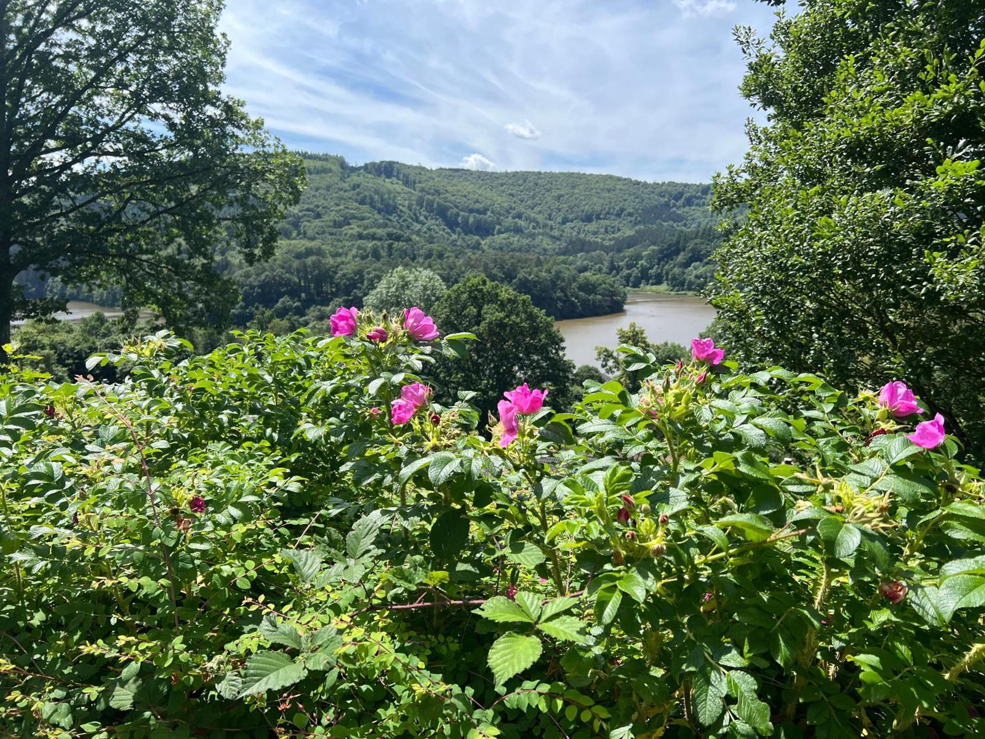 Seeblick Biersdorf am See