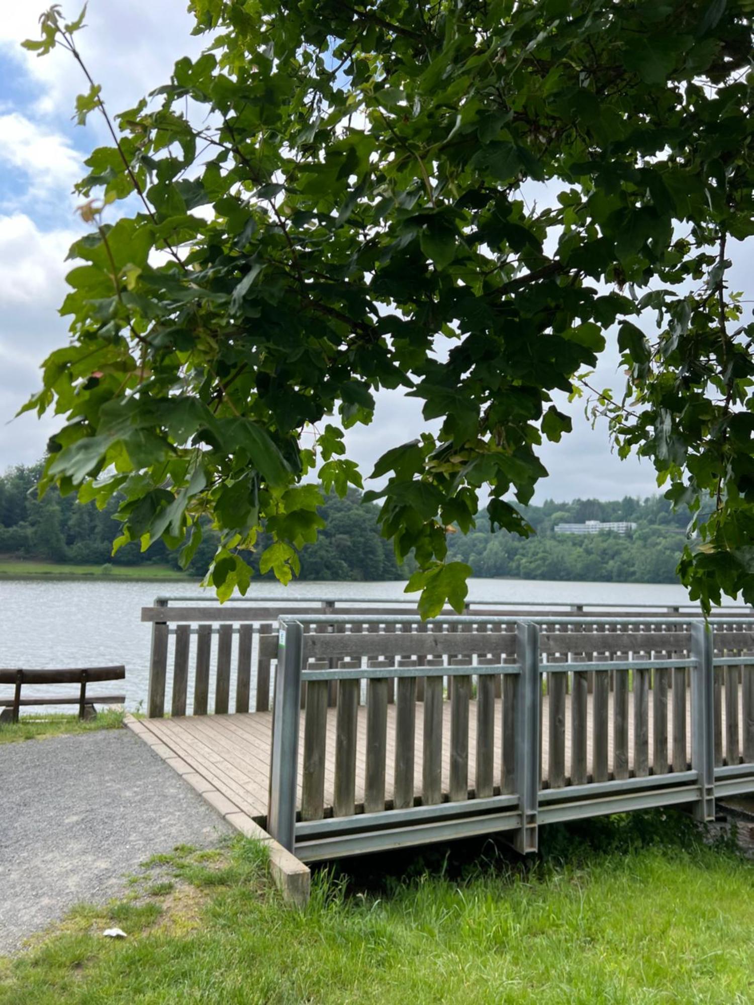 Seeblick Biersdorf am See